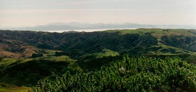 Makara Peak : Pictures